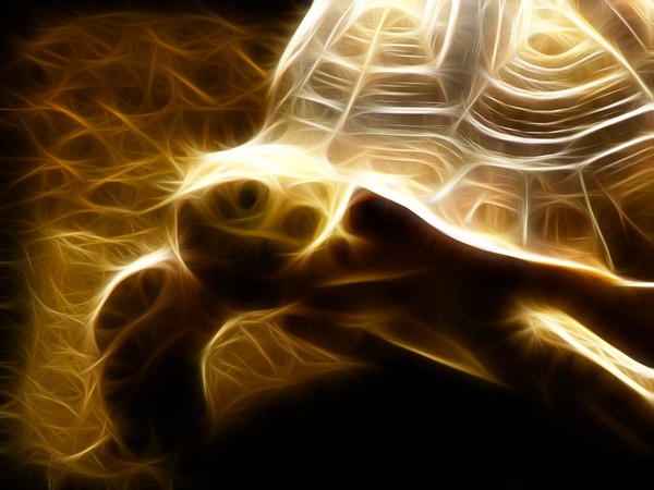 slow