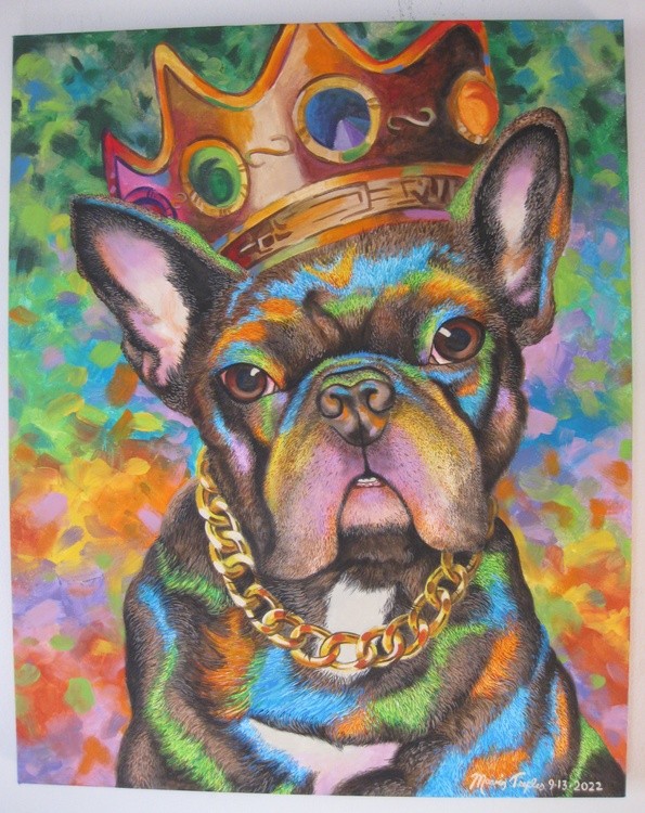 Colorful Pet Portrait