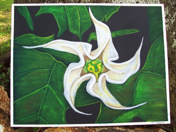 datura