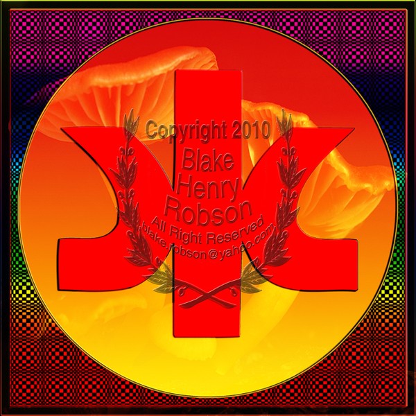 Kimberly-Clark Corp. TM Digital Edit