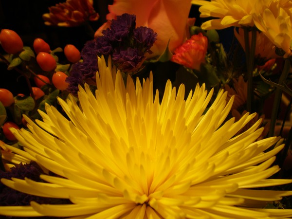 flower