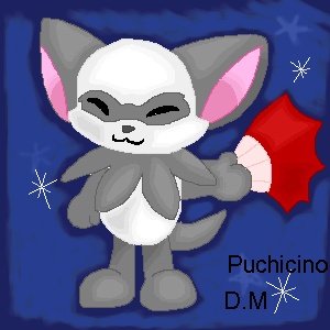 Puchi