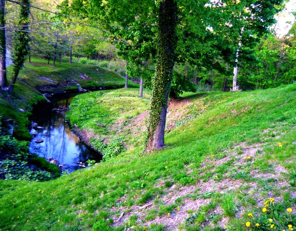 Spring is Here!