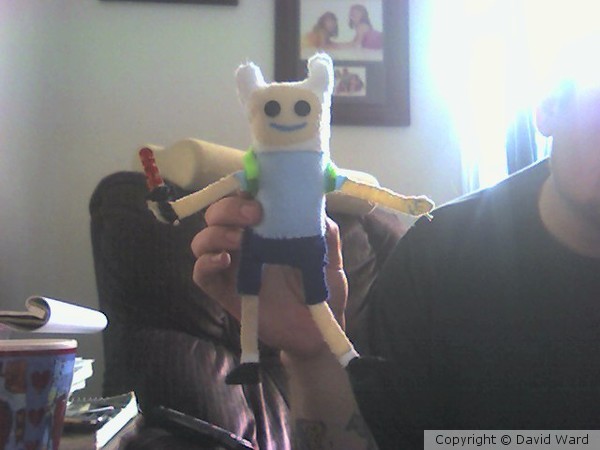 Felt Finn Front