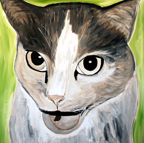 Angry Cat