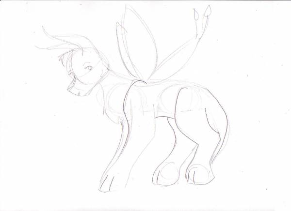 Request