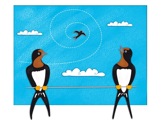 Book illustration 15