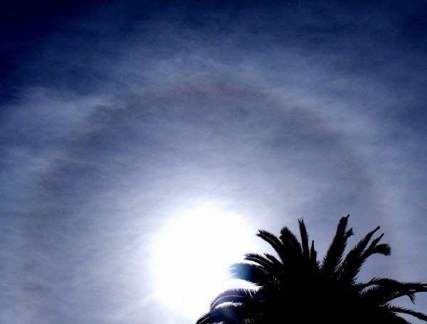 Sun Halo 5
