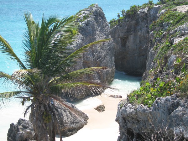 The Cove