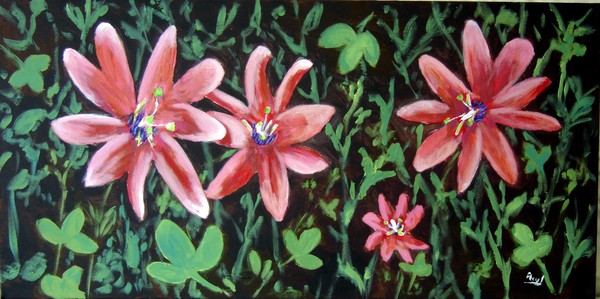 Passion Flower