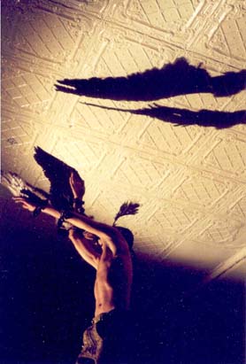 bird man