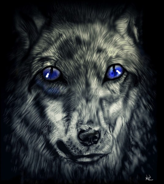 Night Watcher