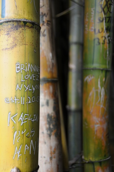 bamboo Graffitti