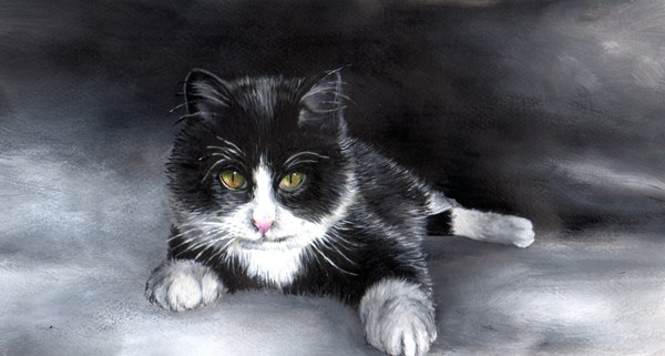 fuzz ball