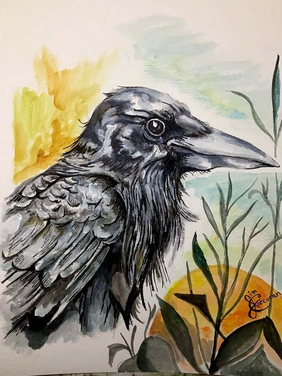 The Crow