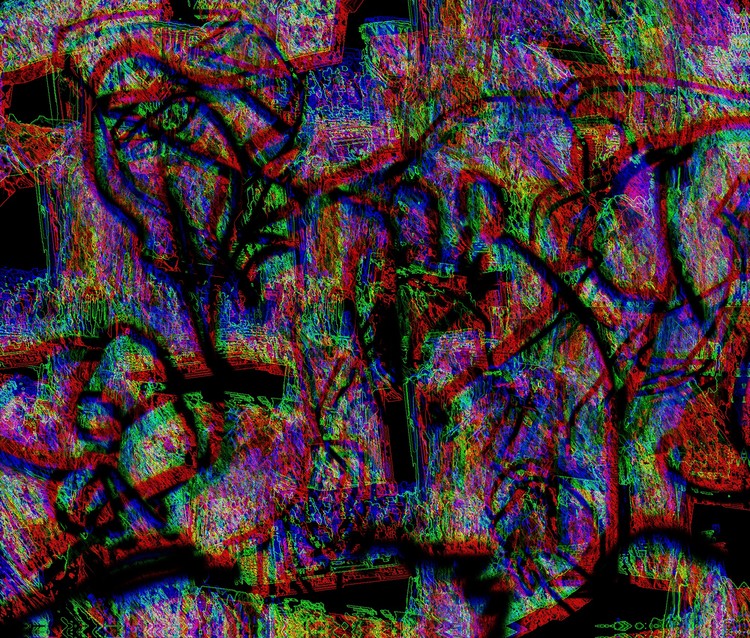 In the Garden