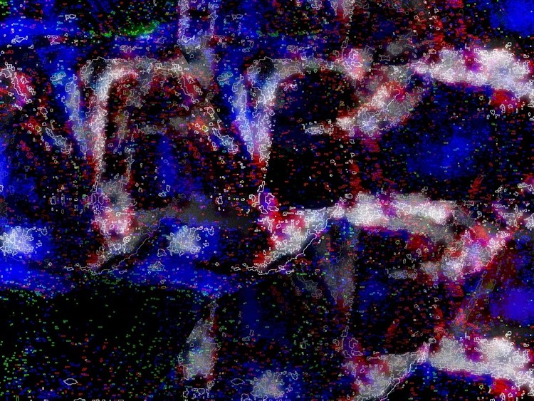 Spider
