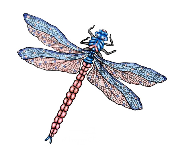 Emperor Dragonfly