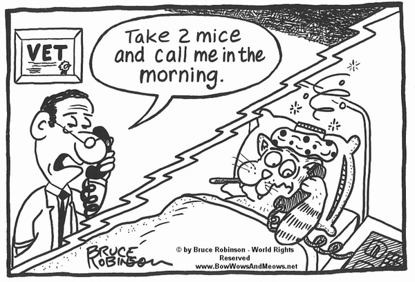 BOW WOWS & MEOWS® CAT Cartoon - 