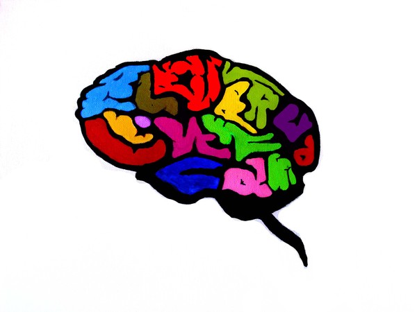Brain