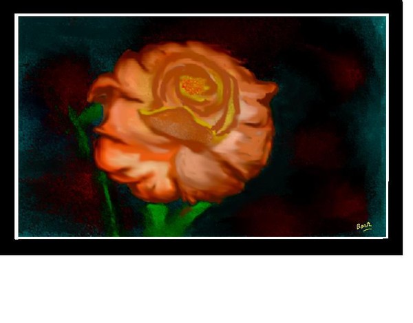 Peach Rose