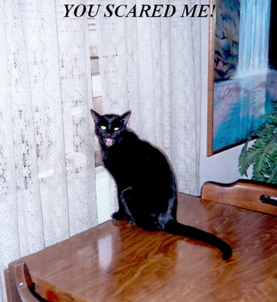 YOU SCARED ME!
