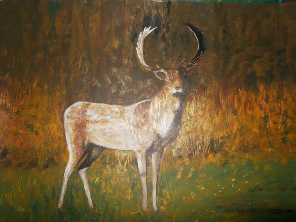 the beautiful stag