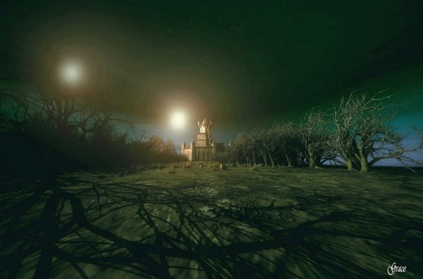 What Lies Within the Shadows