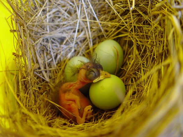 A new life begins.....