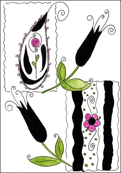 Paisley 