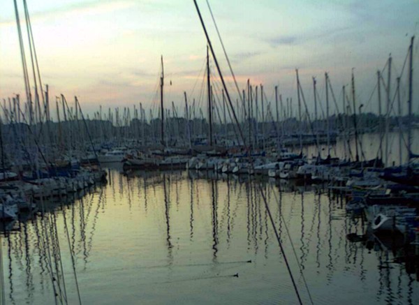Sailboats - Rotterdam, Netherlands