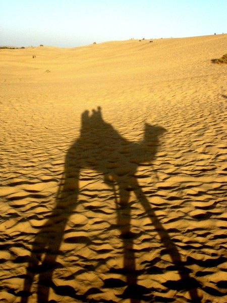 ship of the desert