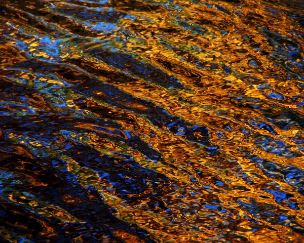 On Golden Pond 1046 11x14 Print