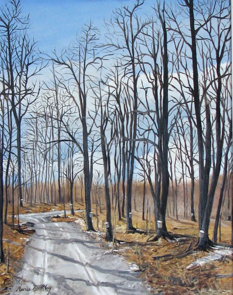 Ontario Sugarbush