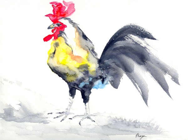 Rooster