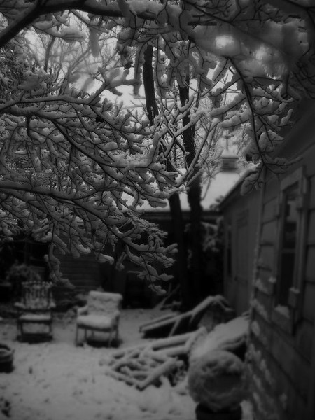 winter 2010