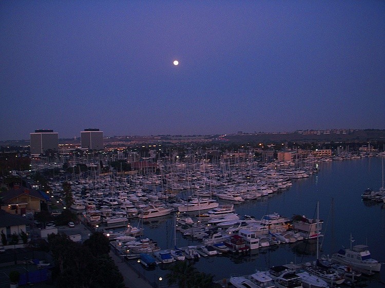 Moonligh Marina copy