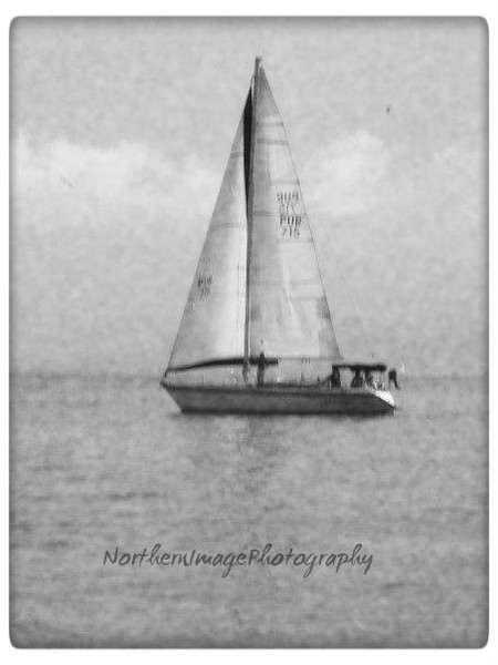 Sail Boat