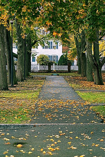 A Walk in the Park