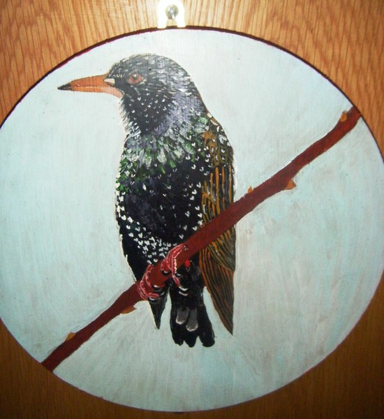 Starling