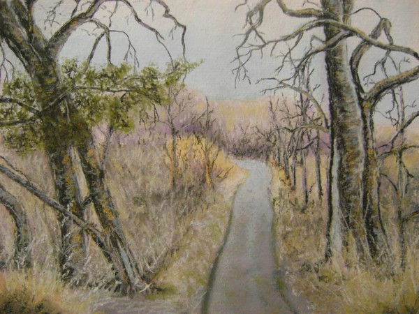 a walk in a park