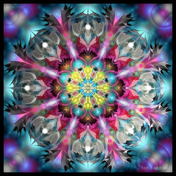 nightdala.2