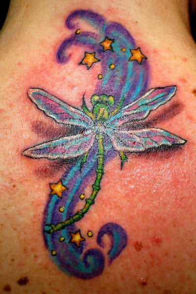 Dragonfly's last flight.