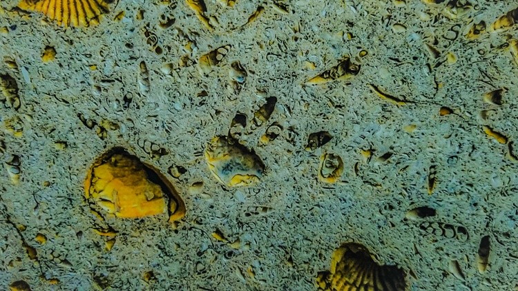 Shells and Concrete