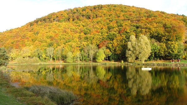 Eifel 08