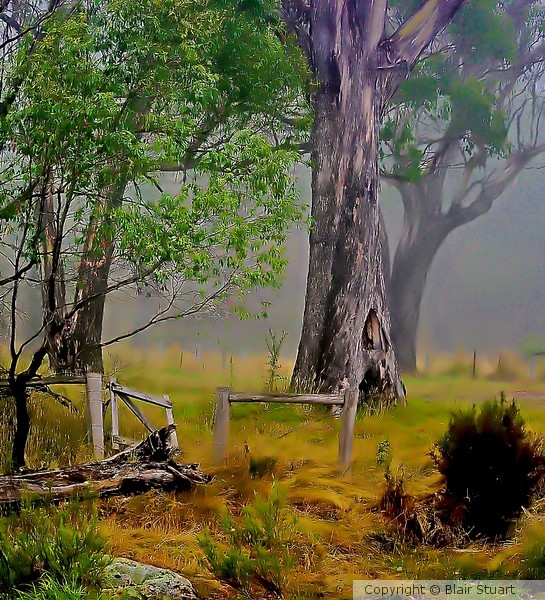Rivers, mists and mysterious shadows