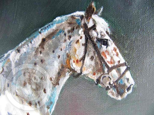 Horse portrait (Goliath)