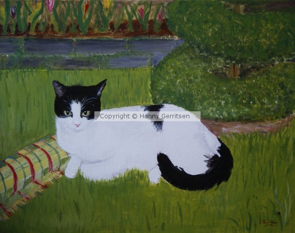 Minky the Cat