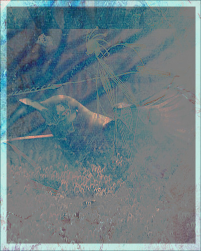 Flight of Kokopelli