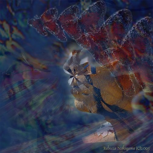 Butterflies' Dream